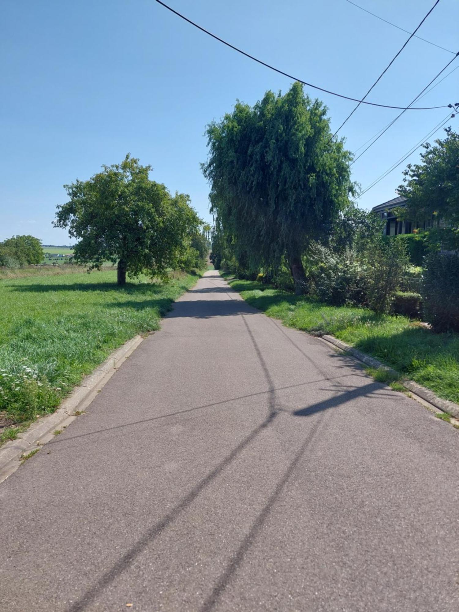 Appartamento Au bonheur des mésanges Laquenexy Esterno foto